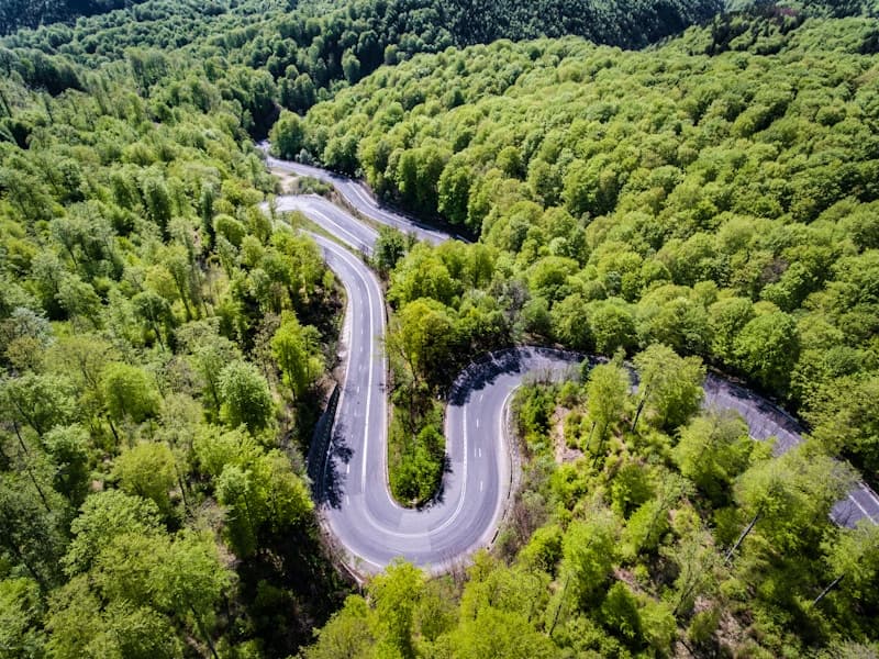 Серпантин горной дороги в зелёном лесу