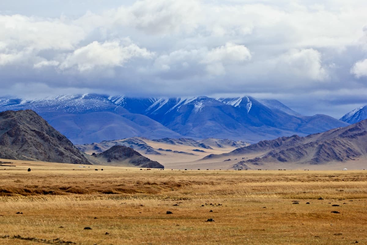 Панорама степи и снежных гор Алтая